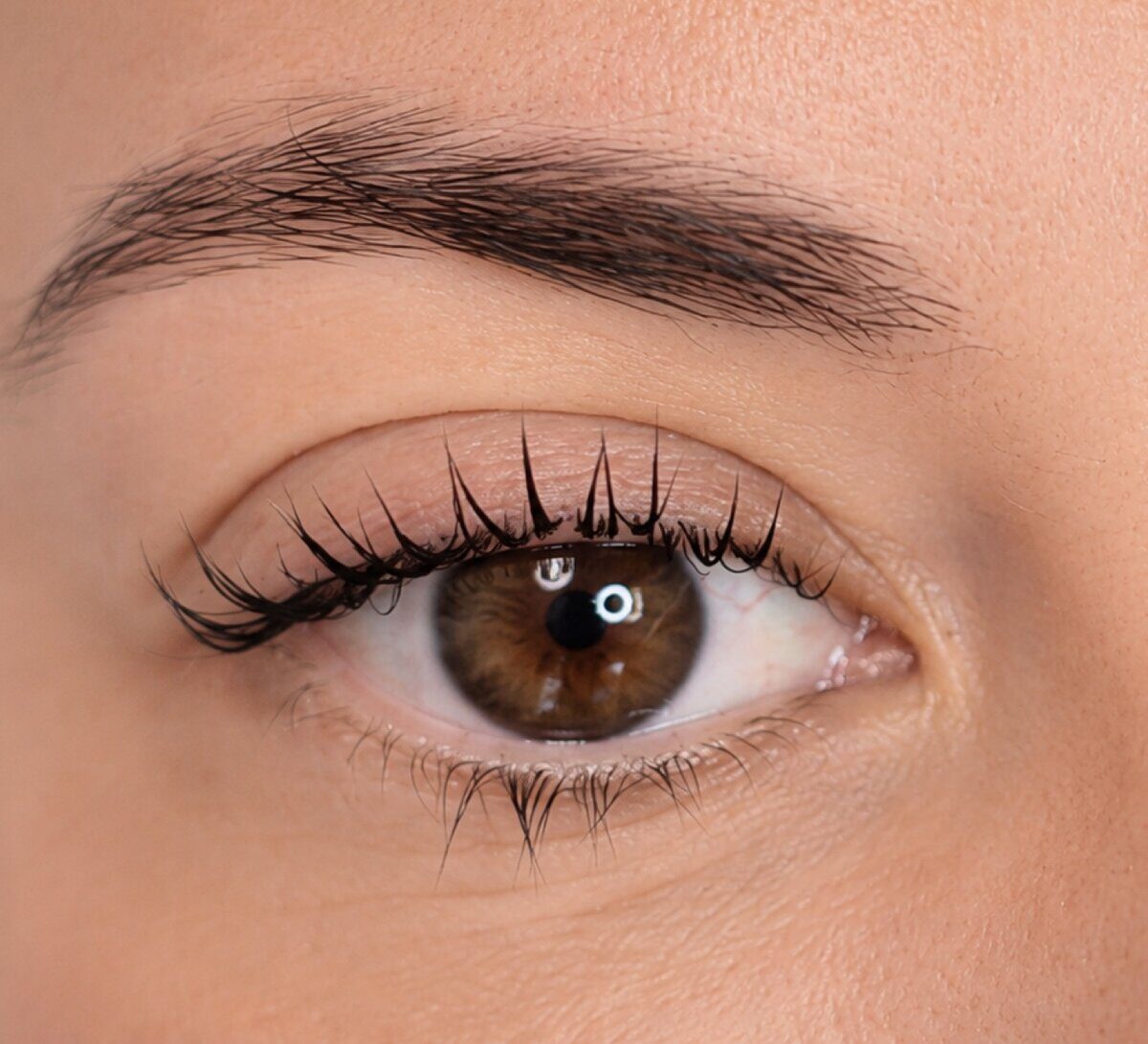 Regard ouvert par un rehaussement et une teinture des cils